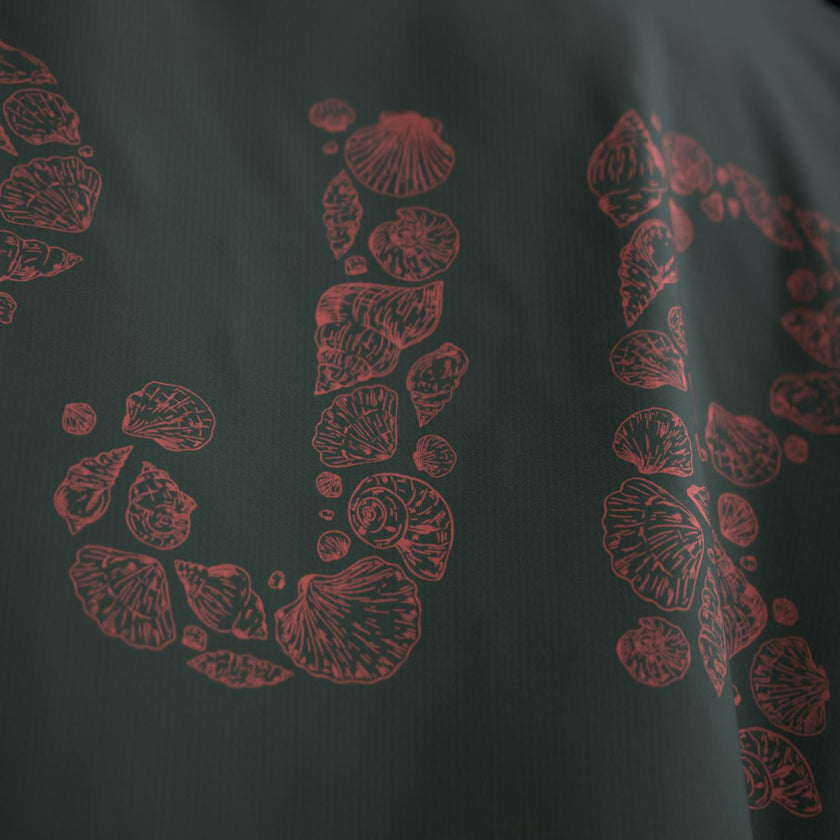 Coquillages - Edition Été 2025