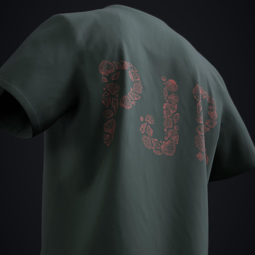 Coquillages - Edition Été 2025